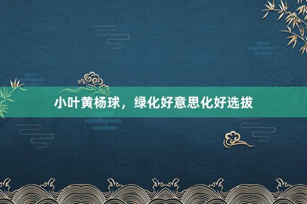 小叶黄杨球，绿化好意思化好选拔