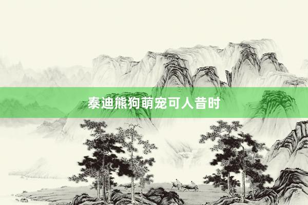 泰迪熊狗萌宠可人昔时